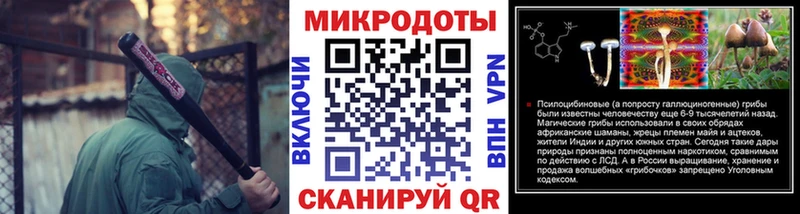 Галлюциногенные грибы Psilocybe  где продают наркотики  Почеп 